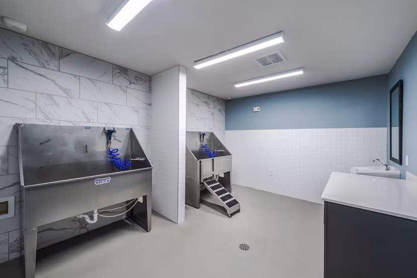 Dog wash station at The Waterview Apartments featuring state-of-the-art grooming facilities and pet-friendly amenities in luxury riverside living