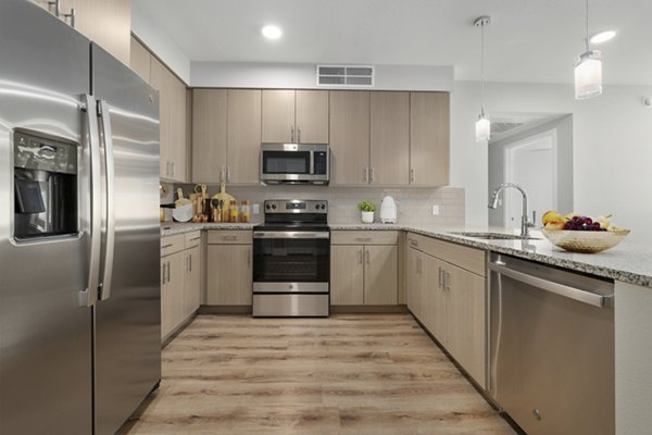 Modern kitchen with granite countertops and stainless steel appliances in Album Marana Apartments