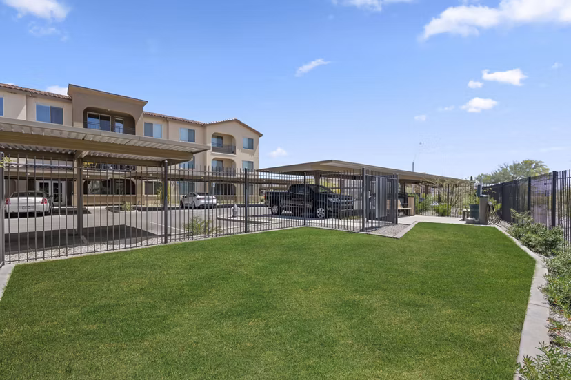 Dog park with agility equipment at Album Marana Apartments for luxury pet-friendly living by Greystar