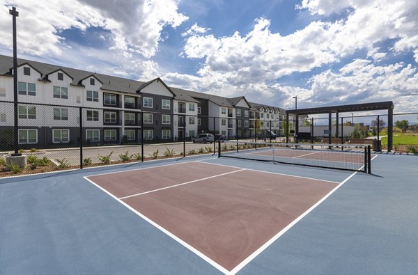 sport court at Avenida at Centerra Apartments