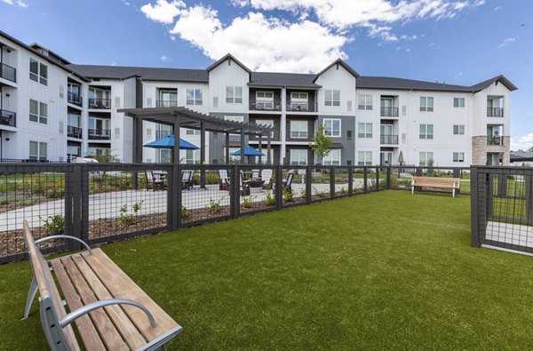 Dog park with agility equipment at Avenida at Centerra Apartments for pet-friendly living options