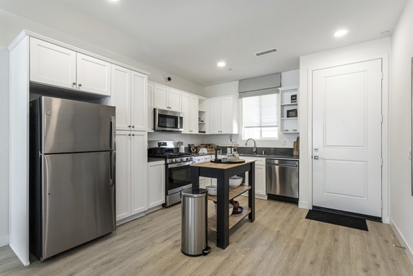 Modern kitchen with stainless steel appliances at Vello Valley BTR single apartment townhomes