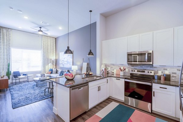 Modern kitchen with stainless steel appliances at Cadence at Frisco Station Apartments, ideal for luxury living in Frisco