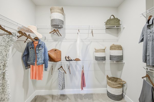 Walk-in closet with ample storage at The Link at Twin Creeks Apartments