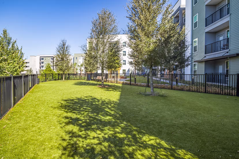 Dog park with agility equipment at The Accolade Collegiate Village West Apartments
