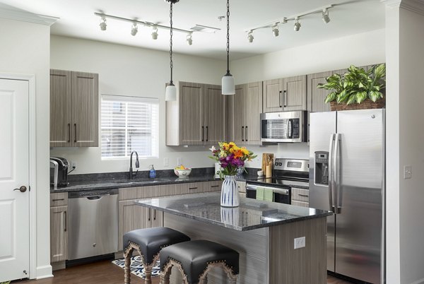 Modern kitchen with stainless steel appliances in Savannah West Apartments, luxury living at its finest