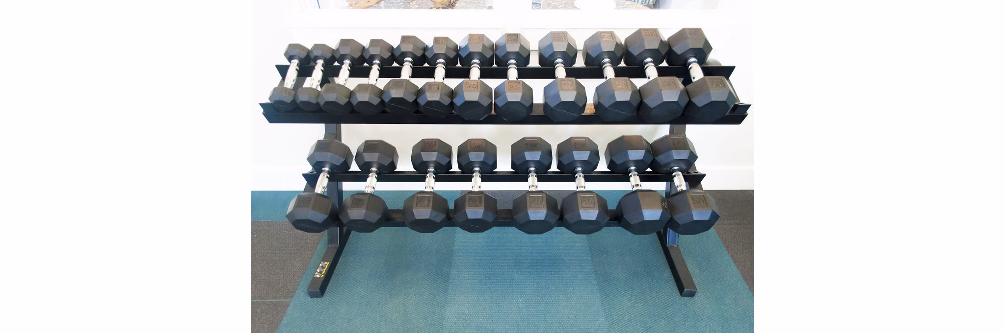 Fitness center with modern equipment at The Arden Apartments