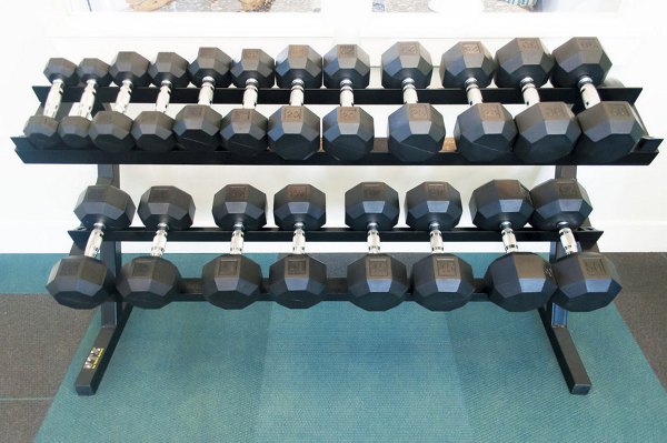 Fitness center with modern equipment at The Arden Apartments