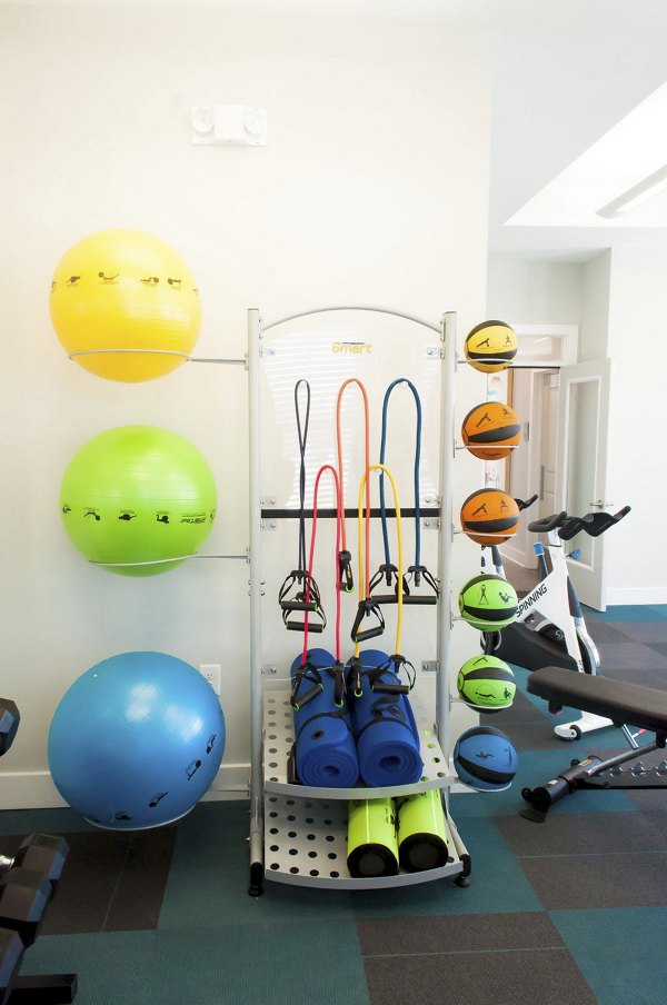 State-of-the-art fitness center with modern equipment at The Arden Apartments, featuring premium workout facilities for residents