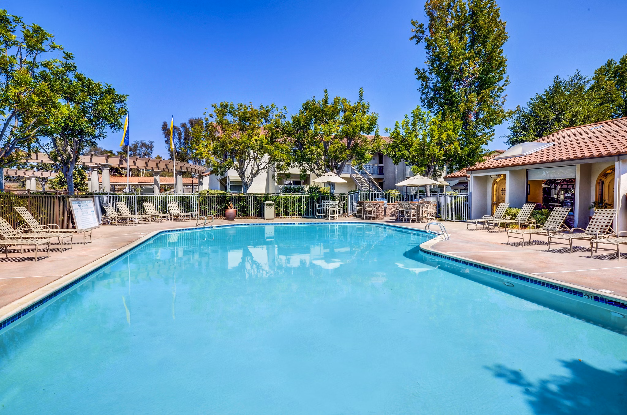 Resort-style heated pool at Adagio Apartments with luxurious lounge area and landscaped surroundings