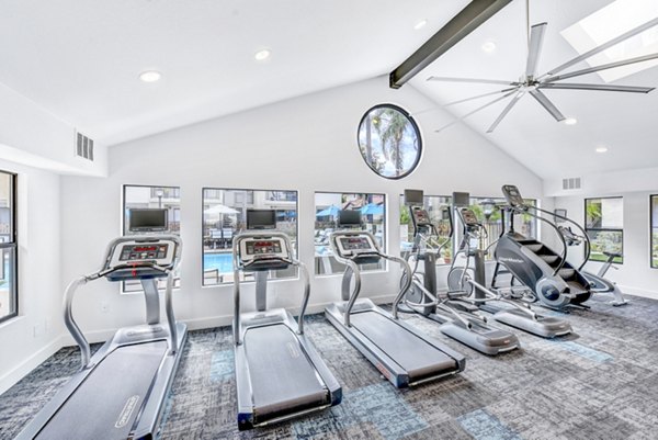 Altair Apartments: State-of-the-art fitness center with modern equipment and spacious workout areas, perfect for luxury living