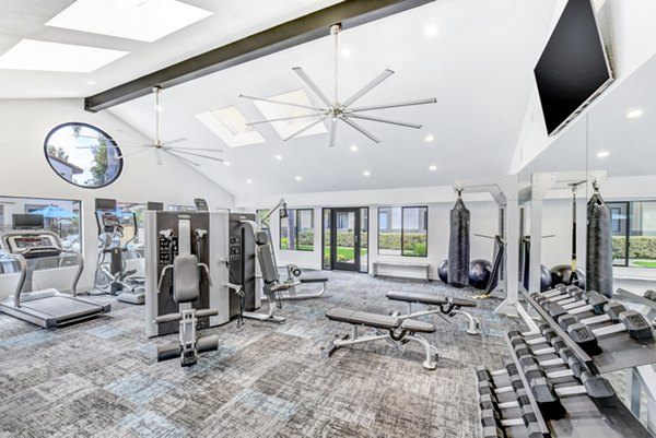 State-of-the-art fitness center at Altair Apartments featuring modern equipment for luxury living