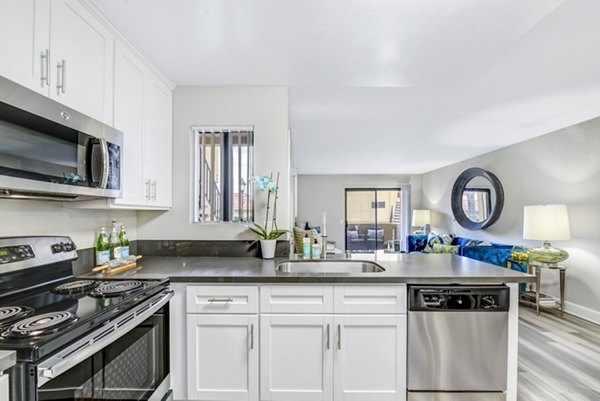 Modern kitchen with sleek cabinetry and stainless steel appliances at Altair Apartments
