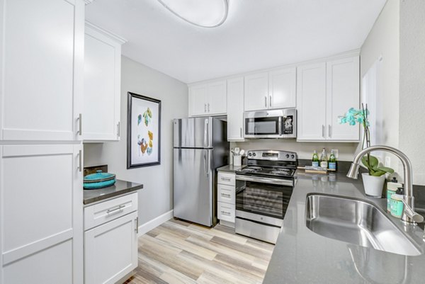 Modern kitchen with stainless steel appliances in Altair Apartments