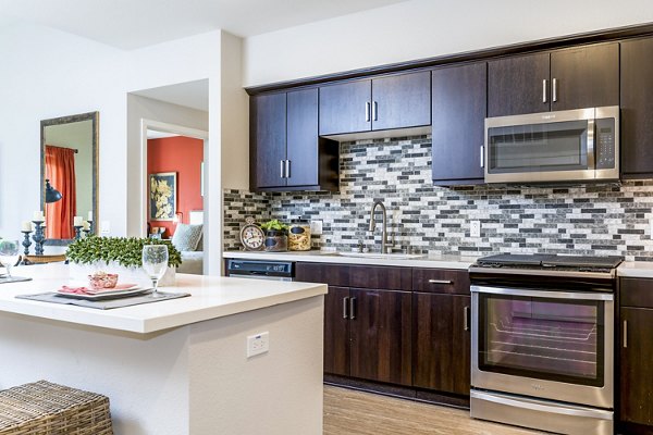 Modern kitchen with stainless steel appliances at Altura Apartments in Greystar luxury community