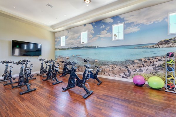 Modern fitness center with state-of-the-art equipment at Avino Apartments