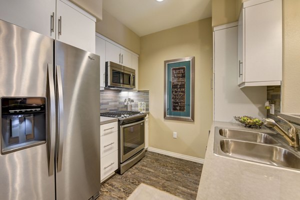 Modern kitchen with stainless steel appliances in Avino Apartments