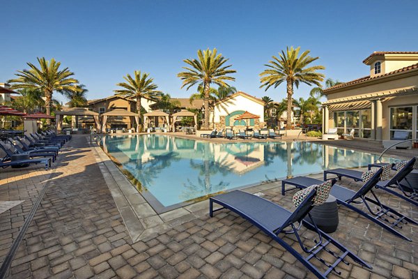 pool at Avino Apartments 