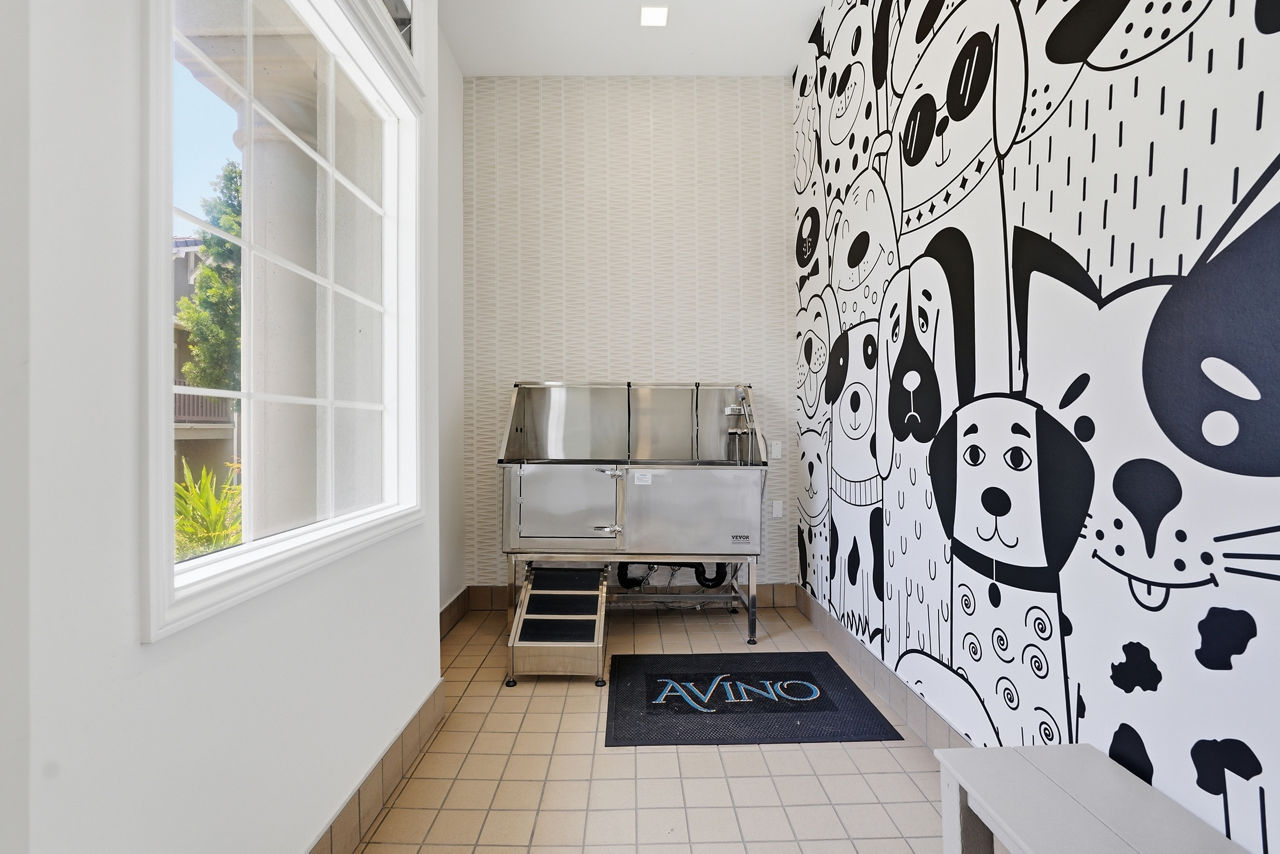 Pet wash at Avino