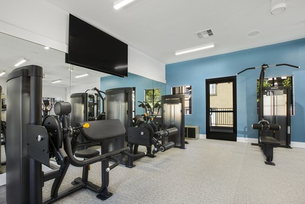 State-of-the-art fitness center at Bella Terra Apartments equipped with modern exercise machines and bright, spacious workout areas