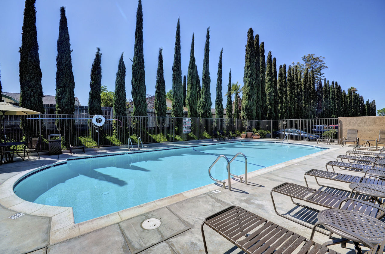 Pool at The Casas (2 of 4)