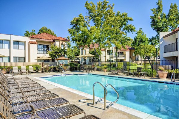 Luxurious pool at The Casas Apartments with surrounding lounge chairs and greenery, offering relaxation in a serene setting