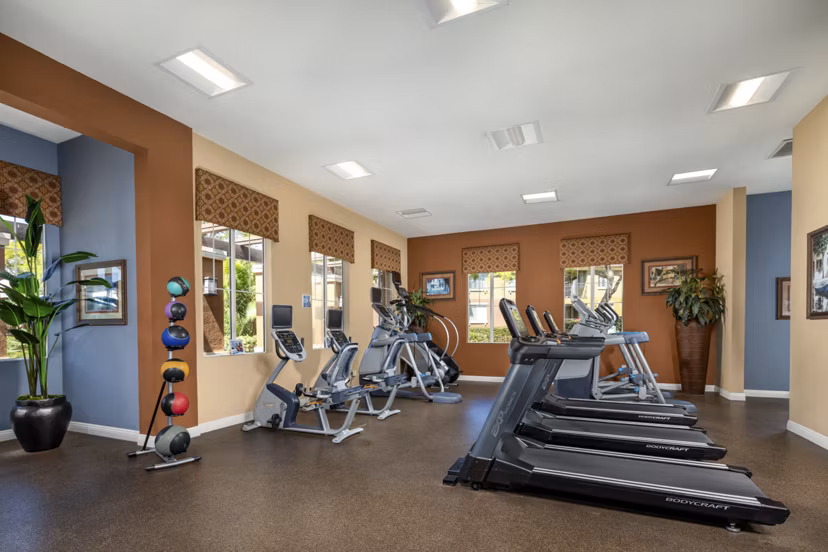 Modern fitness center with state-of-the-art equipment at Casoleil Apartments, a Greystar luxury community
