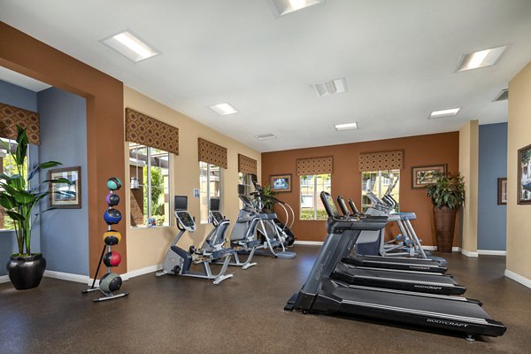 Modern fitness center with state-of-the-art equipment at Casoleil Apartments, a Greystar luxury community