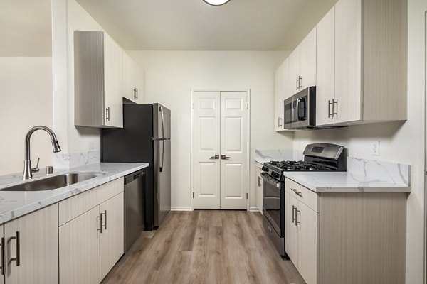 Modern kitchen featuring stainless steel appliances and granite countertops at Casoleil Apartments