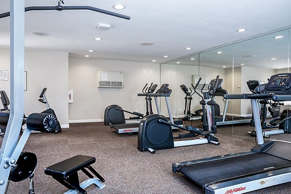 State-of-the-art fitness center with modern equipment at Central Park Apartments, offering luxury amenities for an active lifestyle