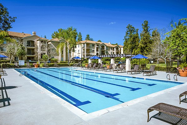 Outdoor pool with sun loungers at Central Park Apartments, a luxury Greystar property