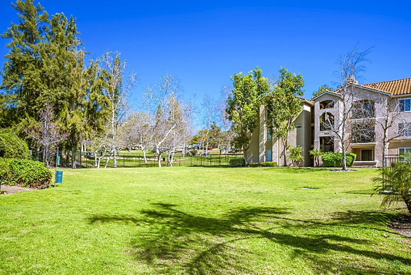 Dog-friendly park at Central Park Apartments, luxury living spaces by Greystar
