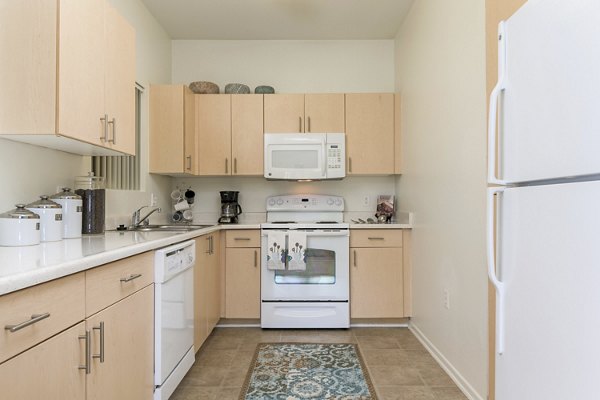 Modern kitchen with stainless steel appliances and granite countertops in Greenfield Village Apartments