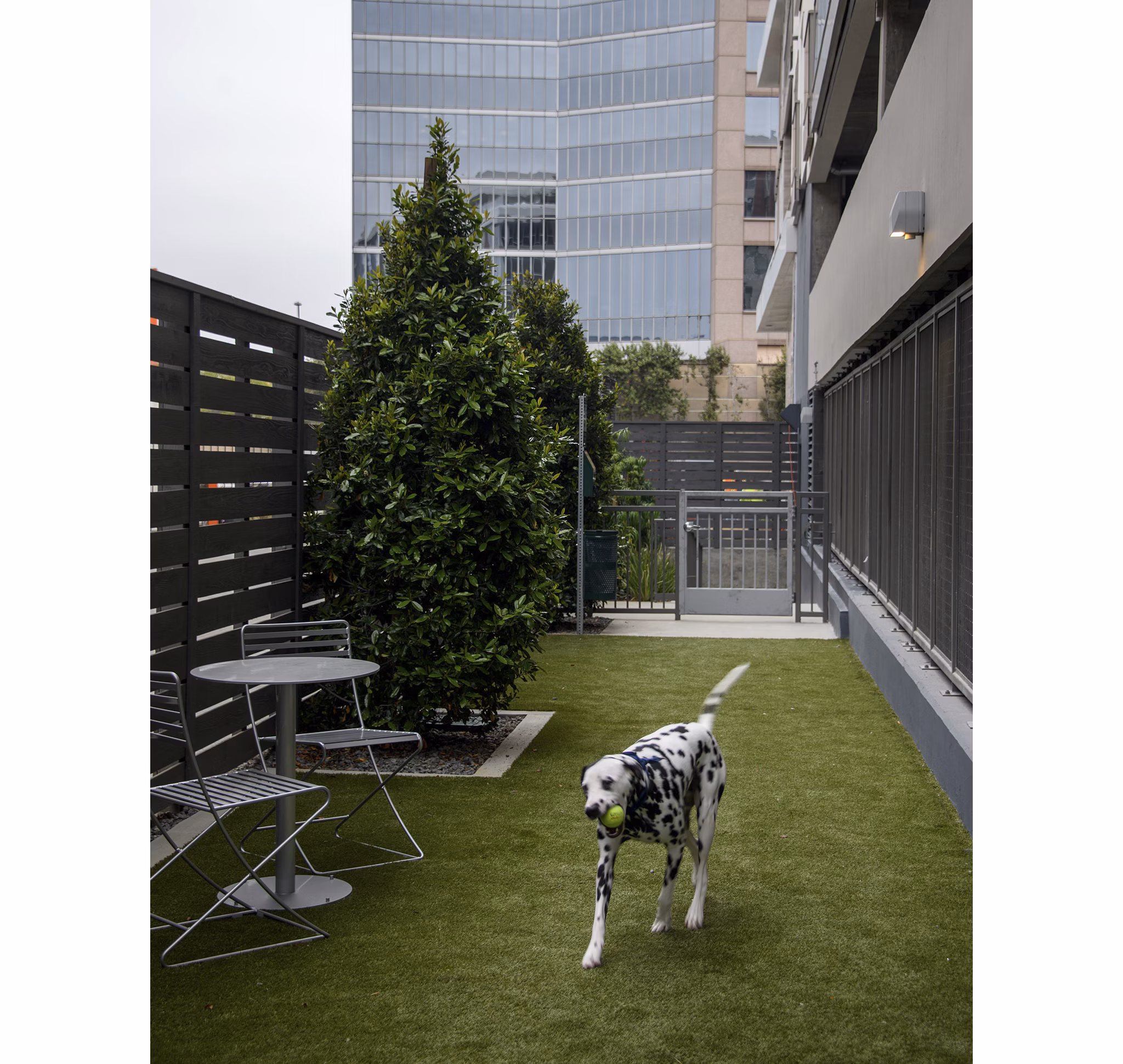 Expansive dog park at Hanover West LA Apartments featuring pet-friendly spaces and amenities for resident enjoyment