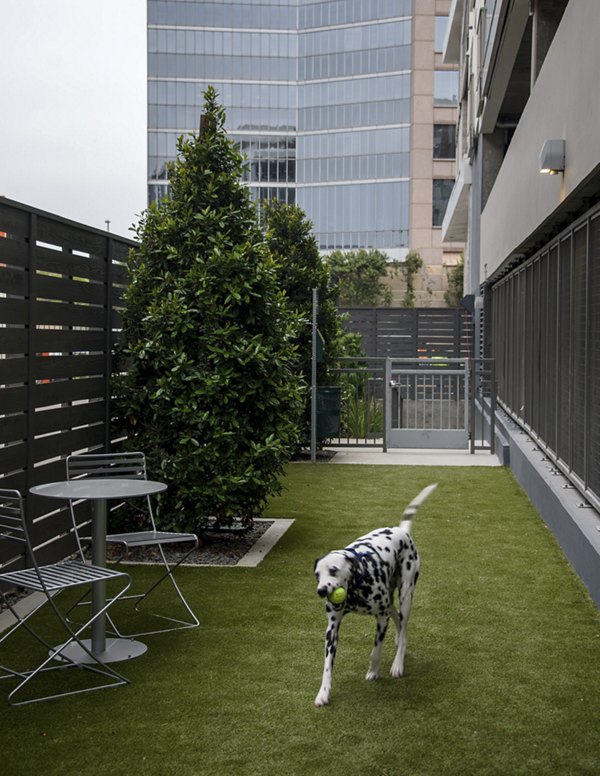 dog park at Hanover West LA Apartments
