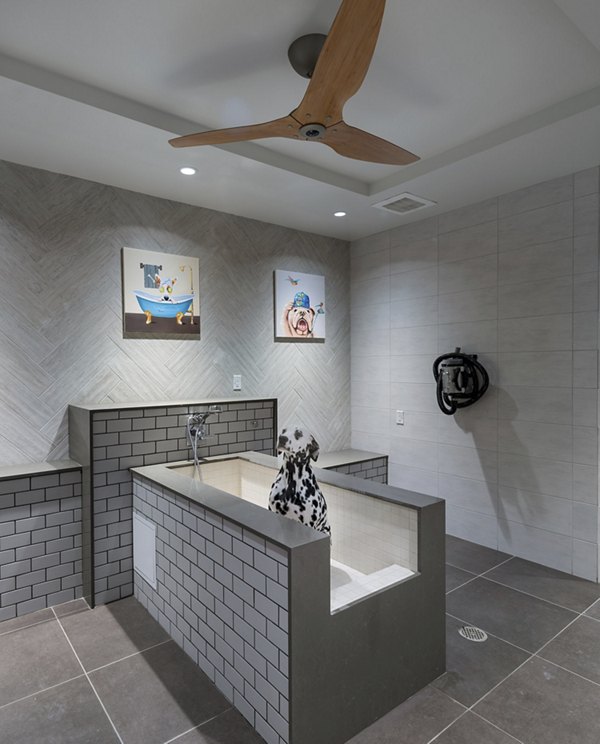 Dog wash station at Hanover West LA Apartments: Luxury pet-friendly amenity in Los Angeles