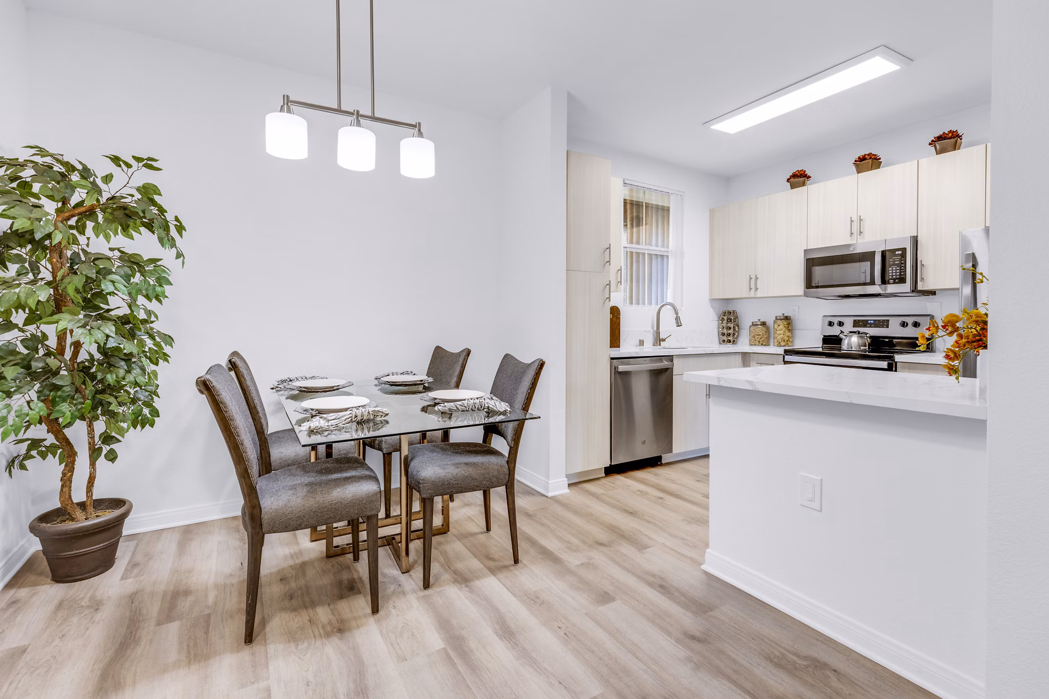 Elegant dining room with contemporary design in Legacy Apartments