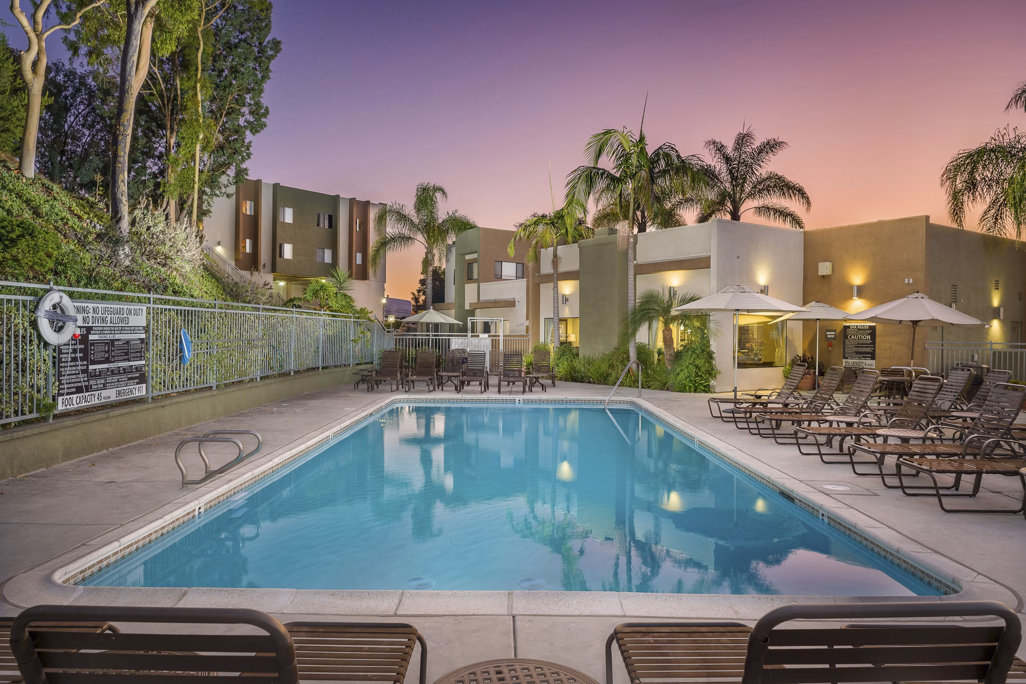 Pool surrounded by lush greenery at Navajo Bluffs Apartments, offering luxury amenities and serene outdoor relaxation