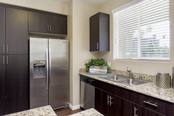 Kitchens featuring modern appliances at Riveredge Terrace Apartments in Greystar community