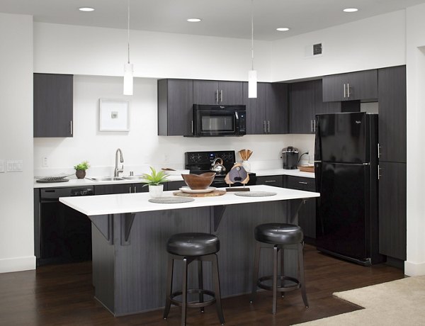 Modern kitchen with stainless steel appliances at Palomar Station Apartments