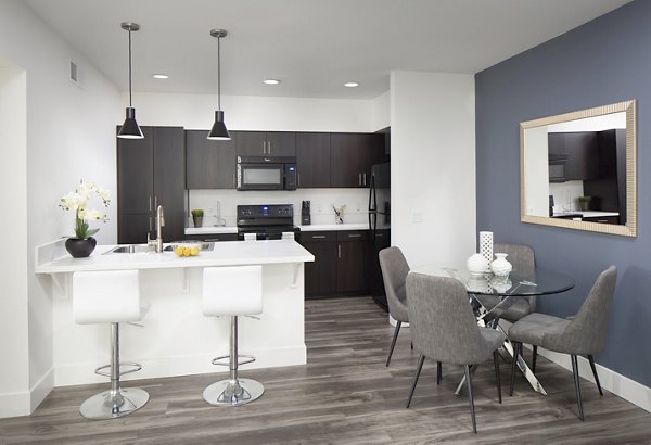 Modern kitchen with stainless steel appliances in Palomar Station Apartments, luxurious living near transit options
