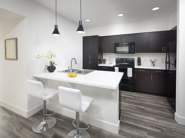 Modern kitchen with sleek countertops and stainless steel appliances at Palomar Station Apartments