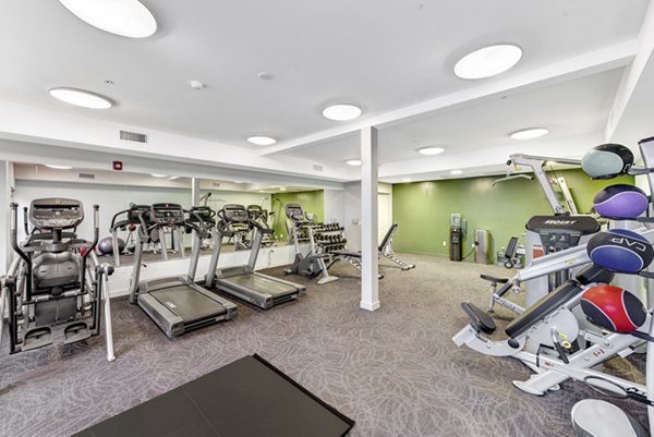 State-of-the-art fitness center boasting modern equipment at Parc One Apartments