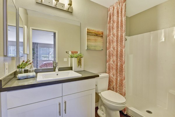 Luxurious bathroom with marble countertops at Park Pointe Apartments in the Greystar community