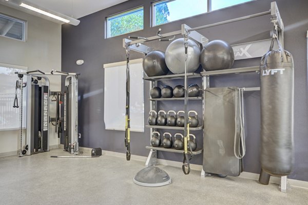 Modern fitness center with state-of-the-art equipment at Park Pointe Apartments, a Greystar luxury apartment community