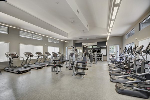 fitness center at Park Pointe Apartments