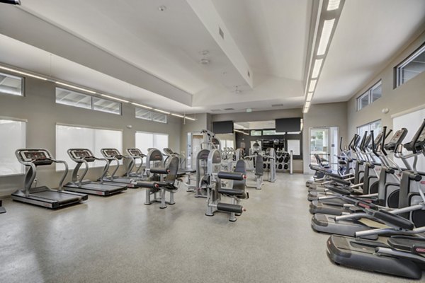 Modern fitness center with state-of-the-art equipment at Park Pointe Apartments