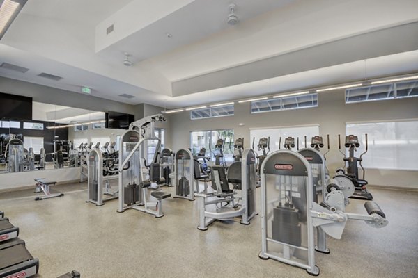 State-of-the-art fitness center with modern equipment at Park Pointe Apartments