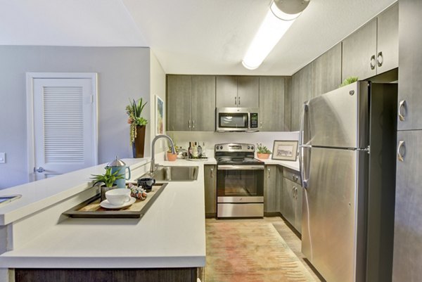 Modern kitchen with stainless steel appliances at Park Pointe Apartments