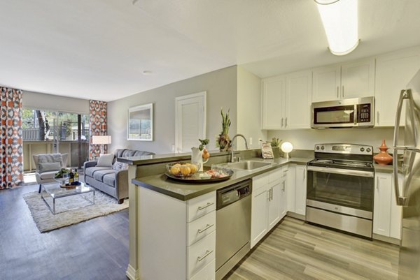 Park Pointe Apartments: Modern kitchen with stainless steel appliances and granite countertops in luxury Greystar community